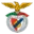 Benfica e Castelo Branco