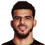 Dominic Solanke-Mitchell