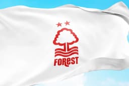 Obrazek news: Statystyki ze spotkania Nottingham - FC Porto. Pełne dane meczowe (23.10.2025)