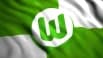 Obrazek news: Wolfsburg wykupił kapitana i gwiazdę Herthy Berlin!