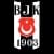 Logo drużynyBesiktas Stambuł