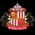 Logo drużynySunderland