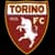 Logo drużynyTorino