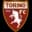 Logo drużynyTorino